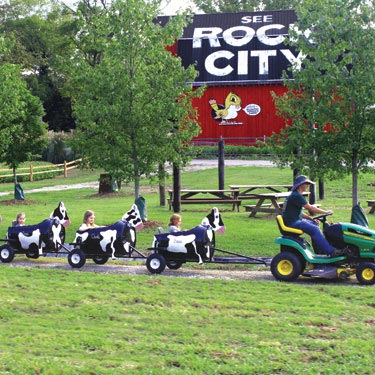 Kids Cow Train